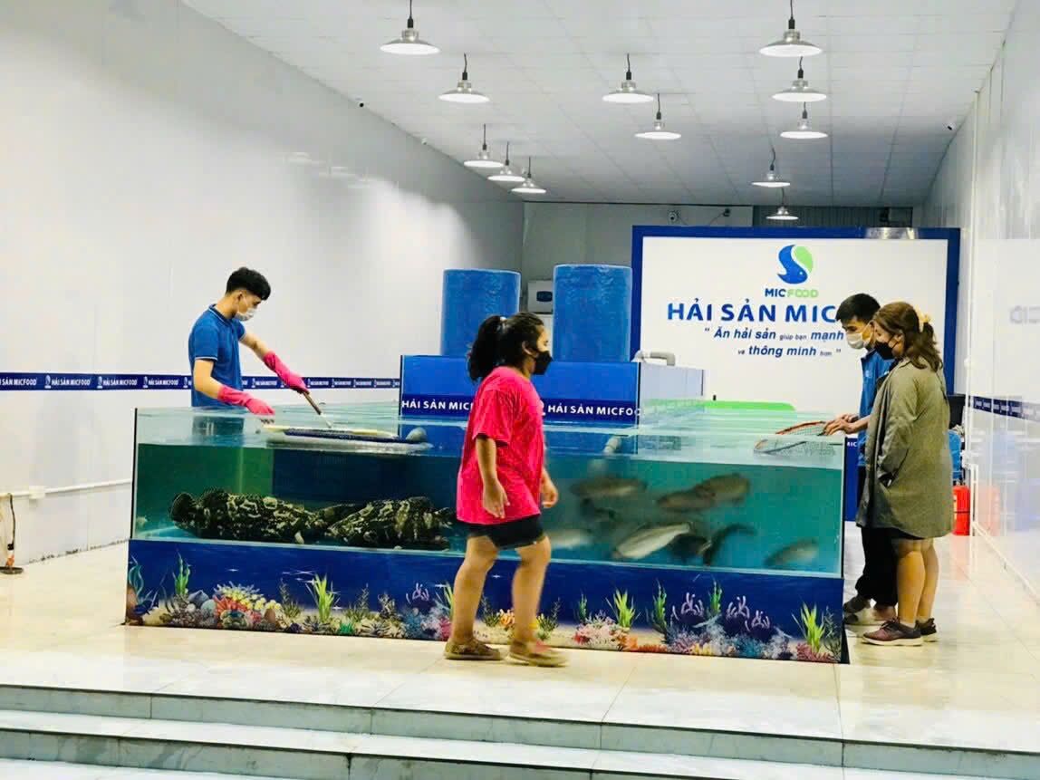 Bể nuôi cá Sông Đà tươi sống tại cửa hàng Hải sản MICFOOD