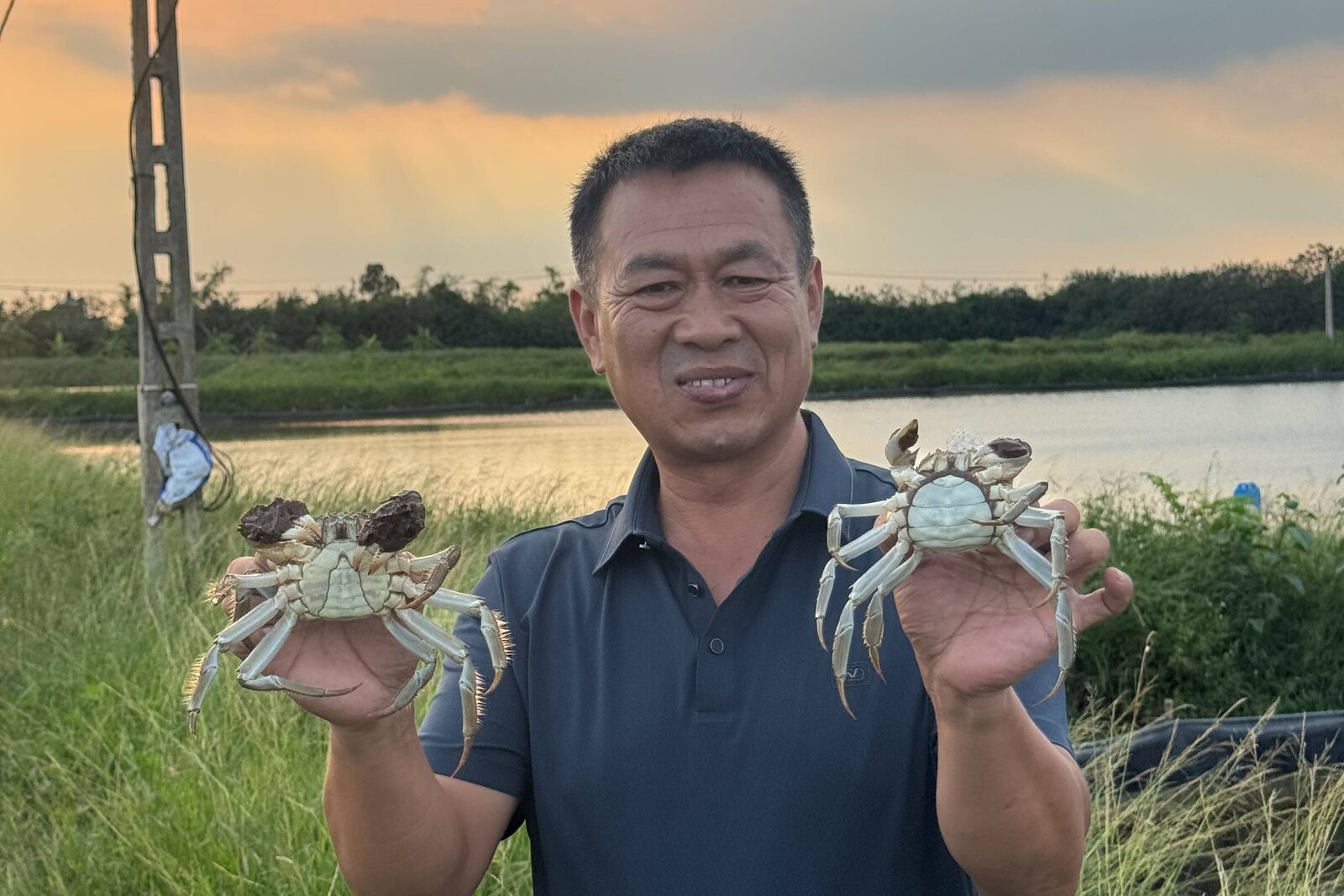Cua cà ra trên tay người nuôi